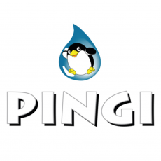 Pingi_logo_poetsproducten.nl