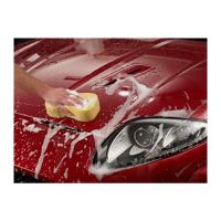 Geen afbeelding ingesteld